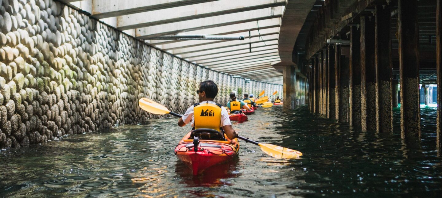 Friends guided kayak tour of the Elliott Bay Seawall under the light-penetrating surface.