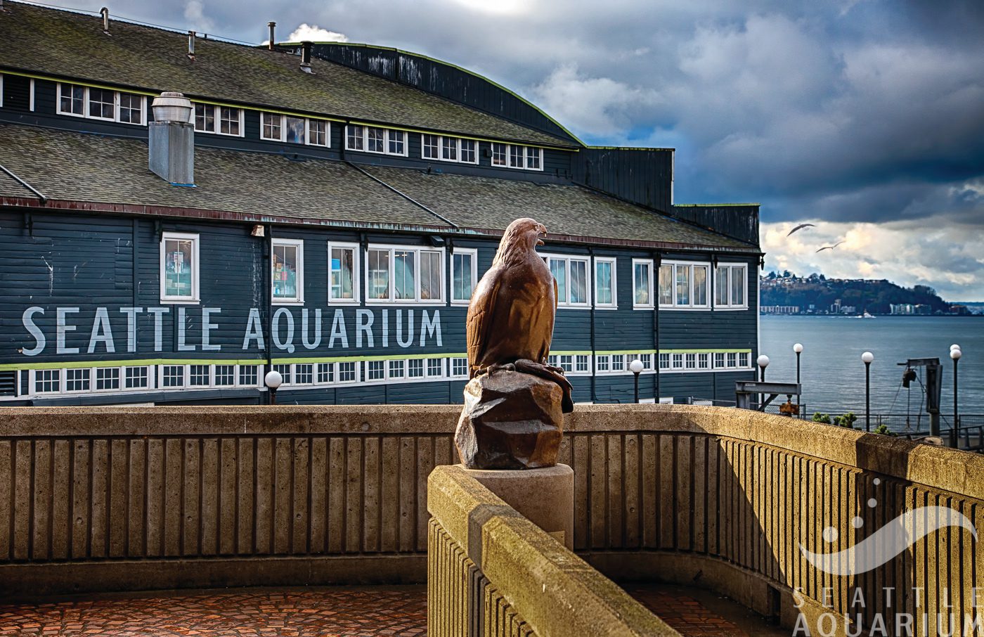 Seattle Aquarium Storytime featured image