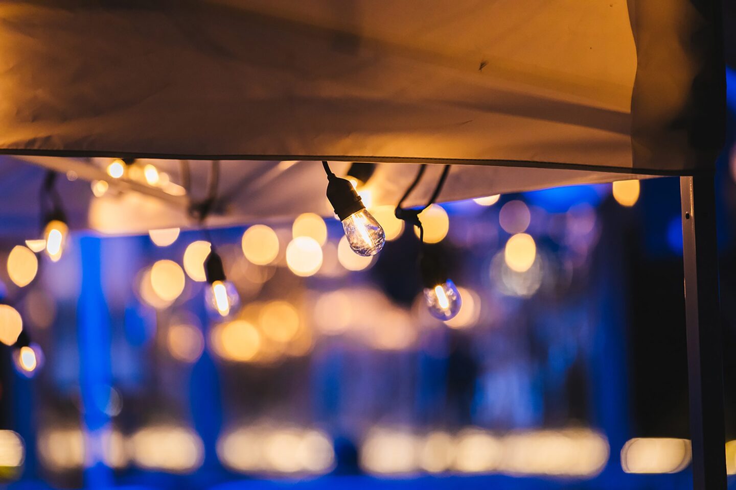 Golden-glowing string lights hung along an outdoor canopy are visible, both in and out of focus. There is a blurred twilight-blue background.