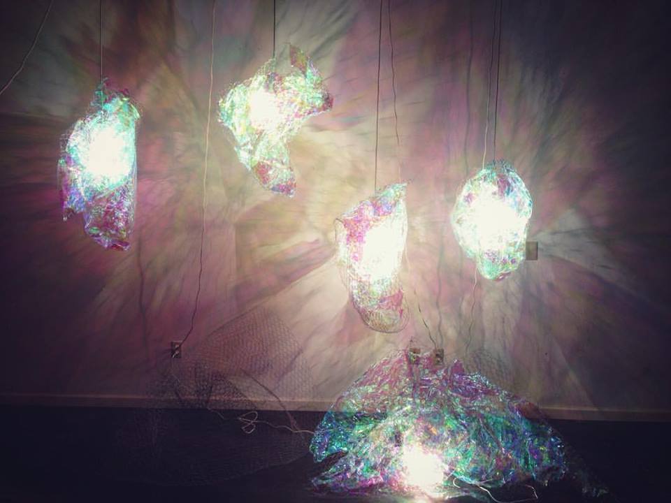 [CANCELED] Electric Flora – Ongoing Light Art Exhibit featured image