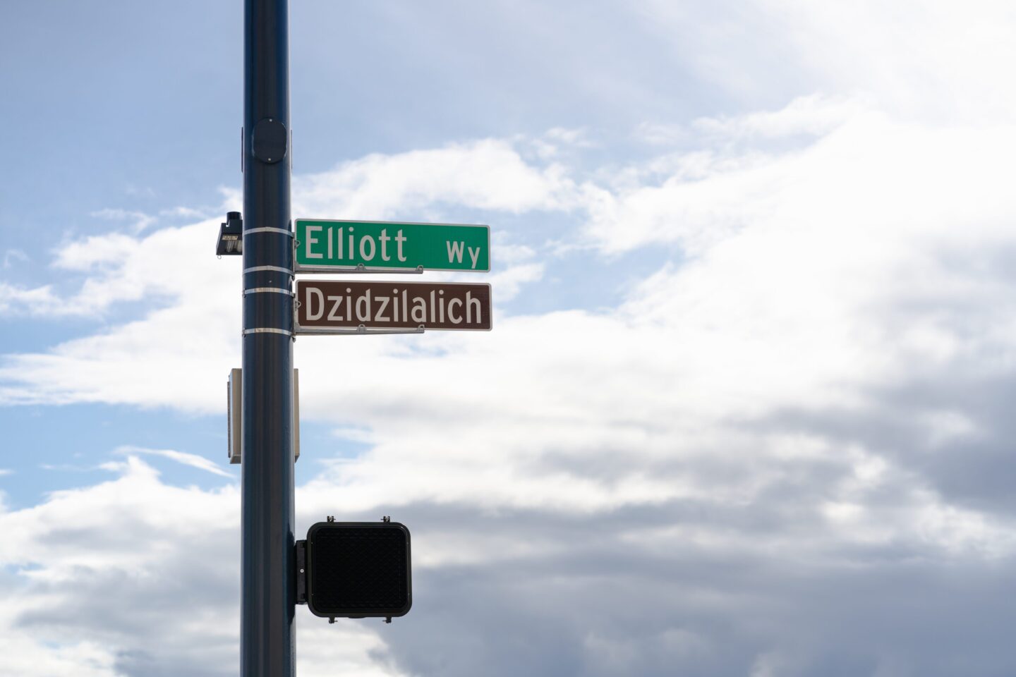 Elliott Way's Honorary Name, Dzidzilalich. Photo by Jo Cosme.