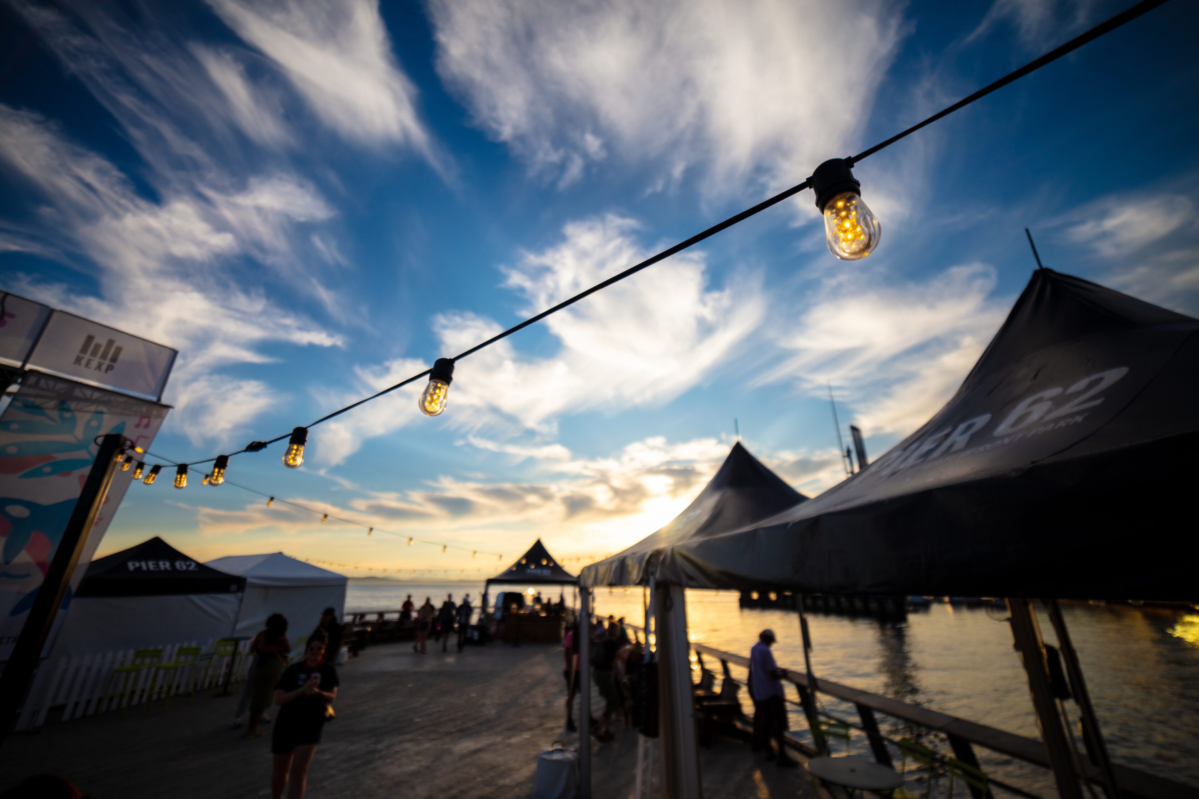 Pier Party - Friends of Waterfront Park