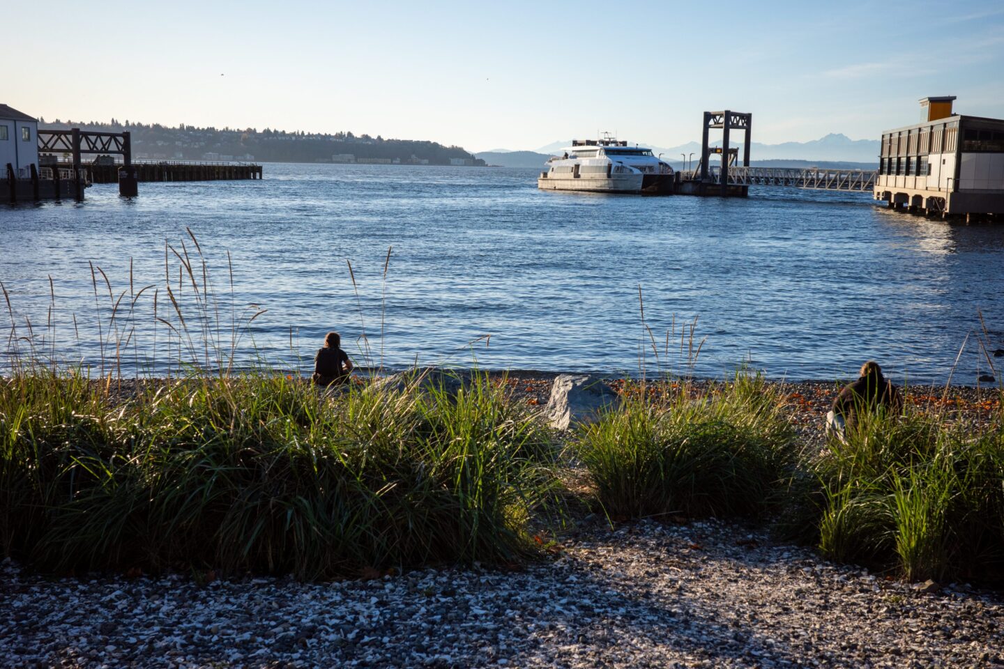 Pioneer Square Habitat Beach. Photo by Jason Merges.