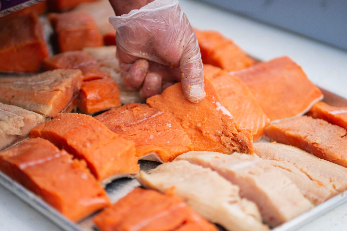 Hefty cuts of salmon being prepped for baking.