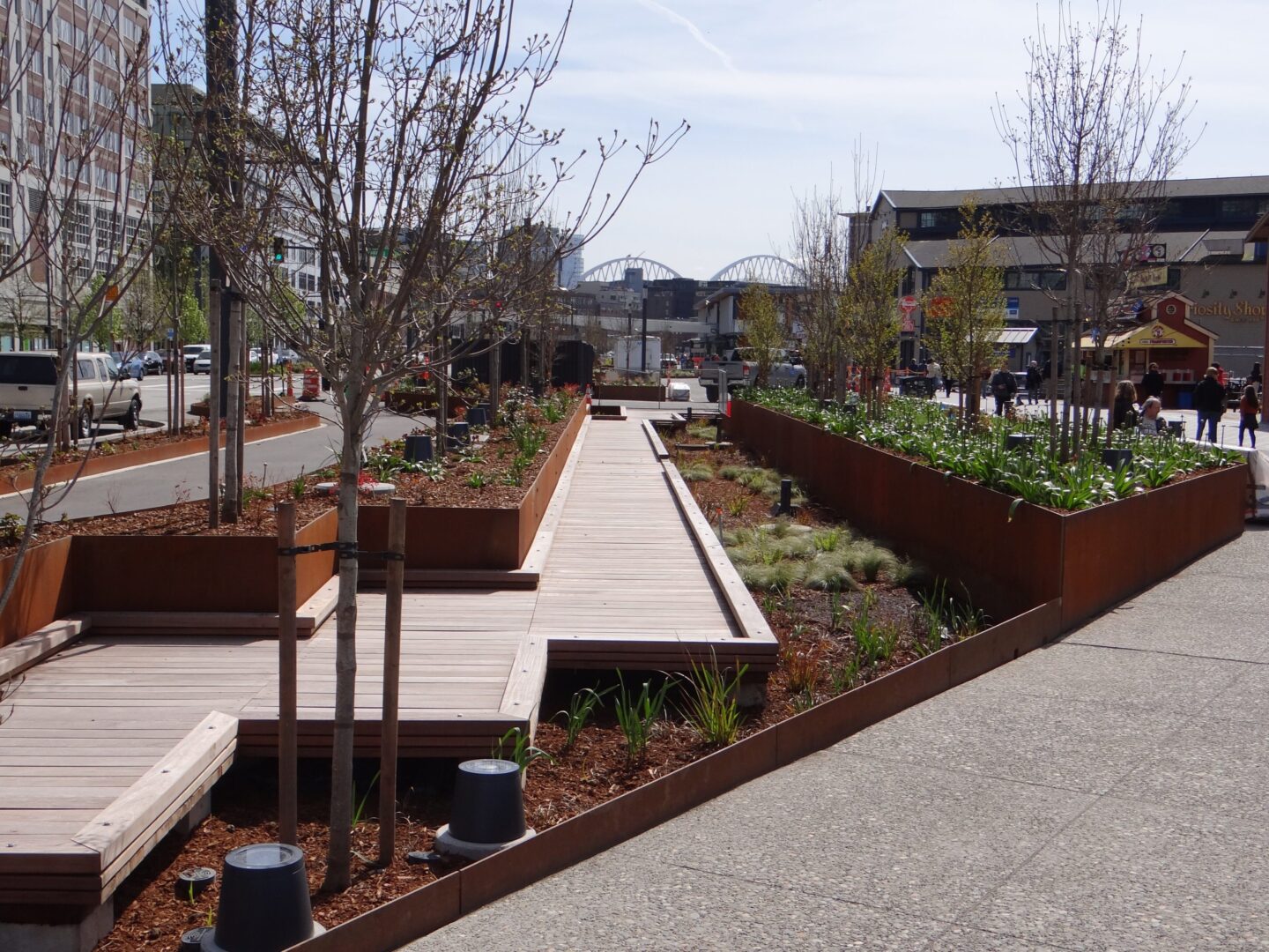 Photo of the Park Promenade boardwalk and new plantings.