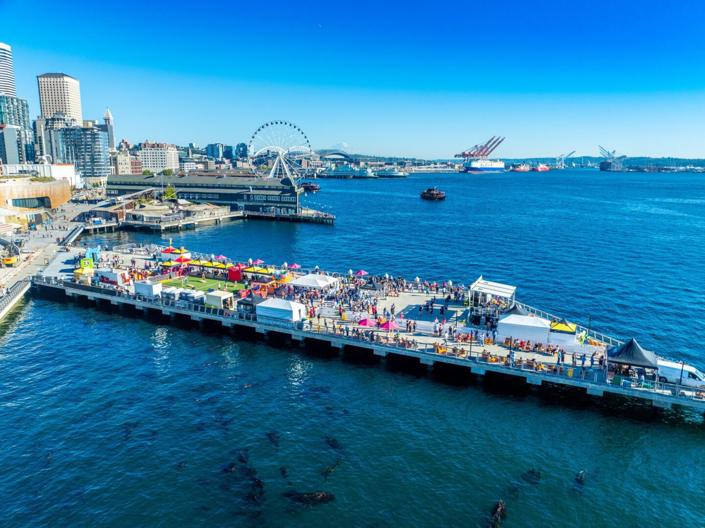 Pier 62 Waterfront Block Party. Photo by Erik Holsather.