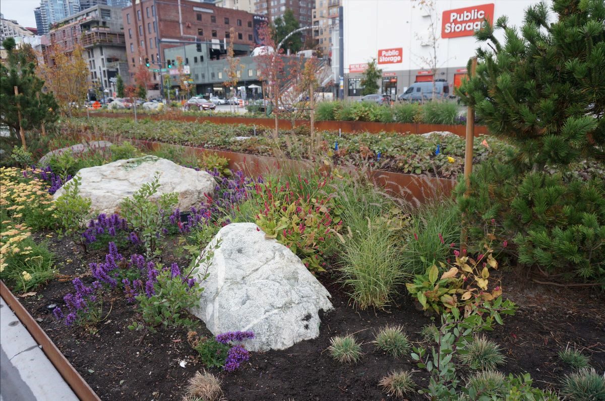 This photo highlights a beautifully landscaped area near Waterfront Park featuring a mix of vibrant plants and natural boulders.