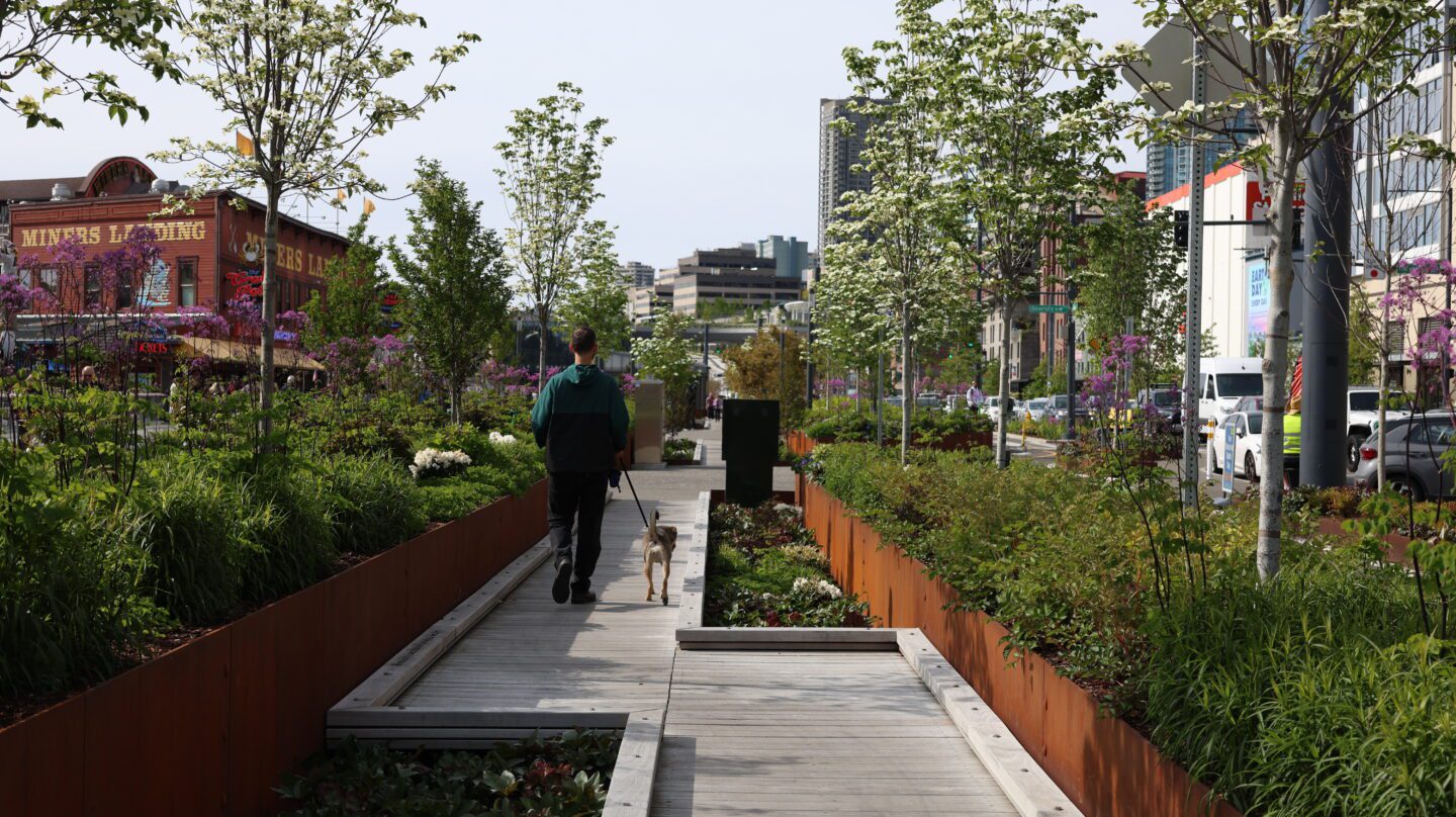 Person walking dog on pedestrian boardwalks at Waterfront Park in between garden beds.