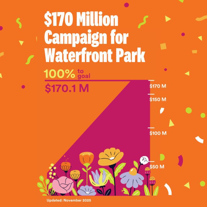 Illustrated graph of campaign progress reaching 100%